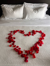 Load image into Gallery viewer, romantic red rose pedals