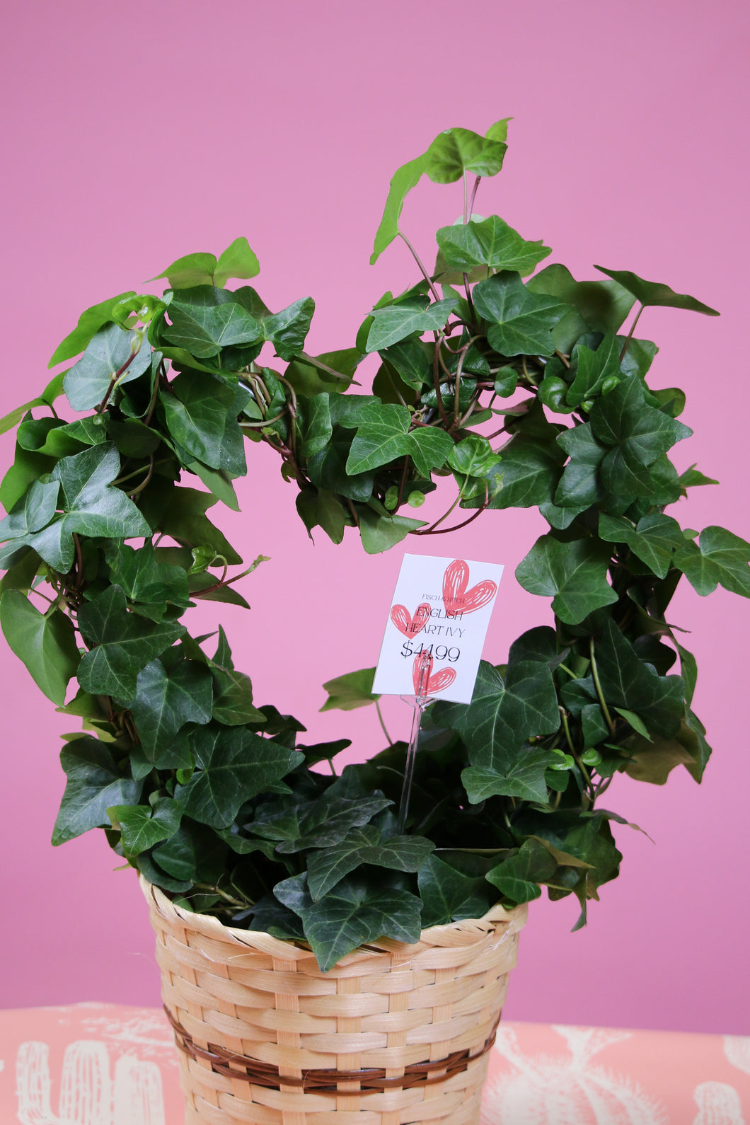 English Ivy Heart wreath plant